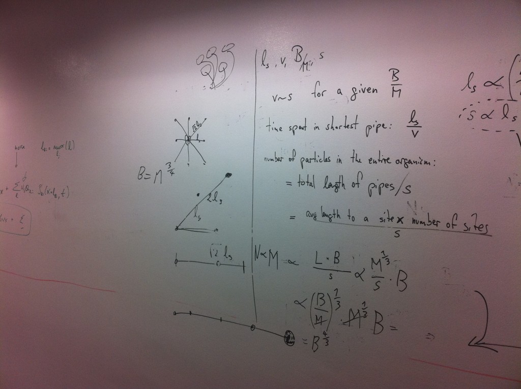 Institute of Mathematical Sciences
