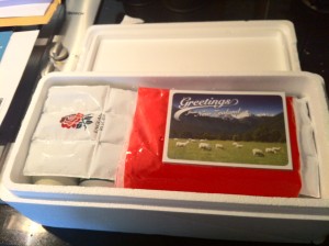 England Argentina O2 Pies 2