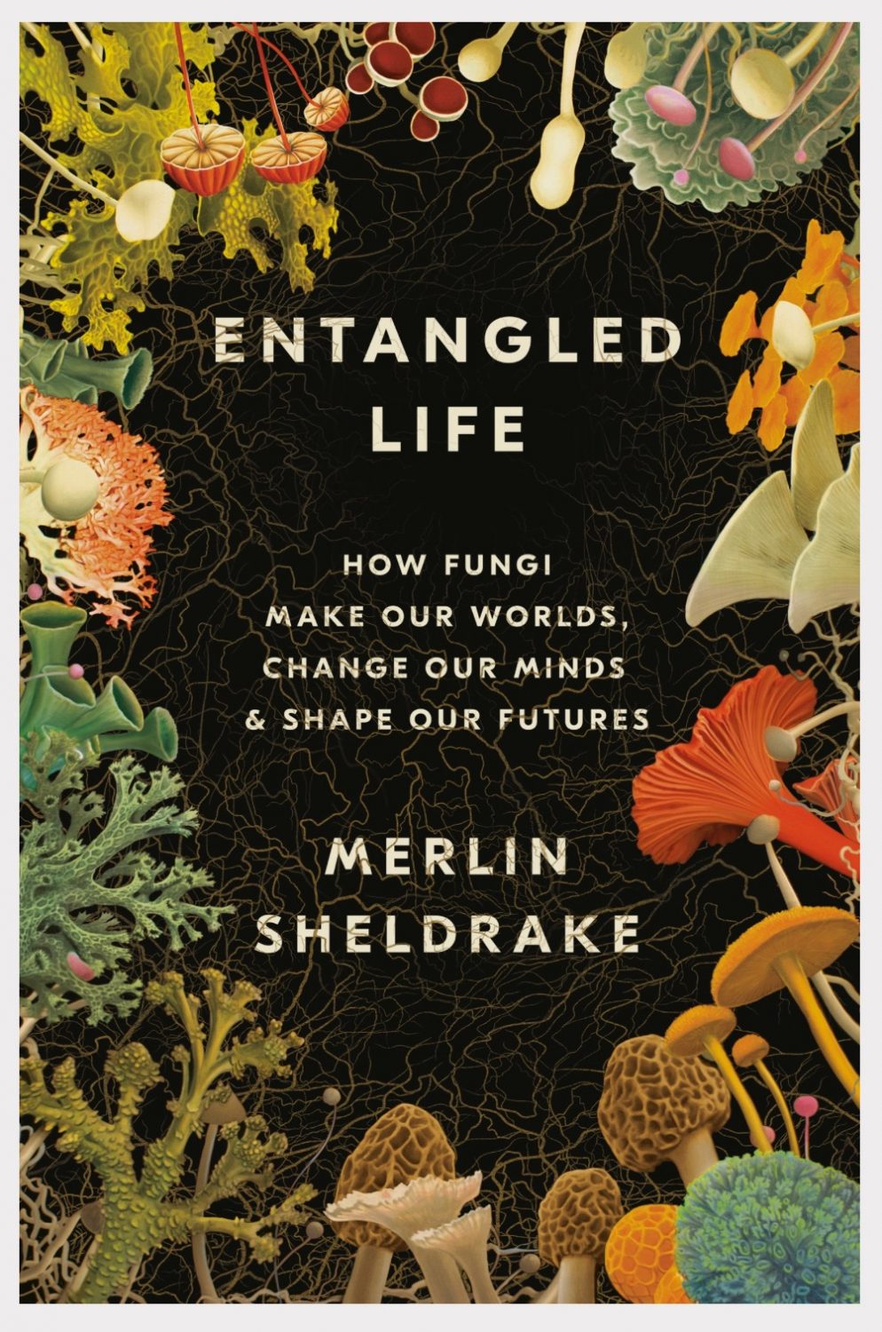 Now reading: Entangled Life