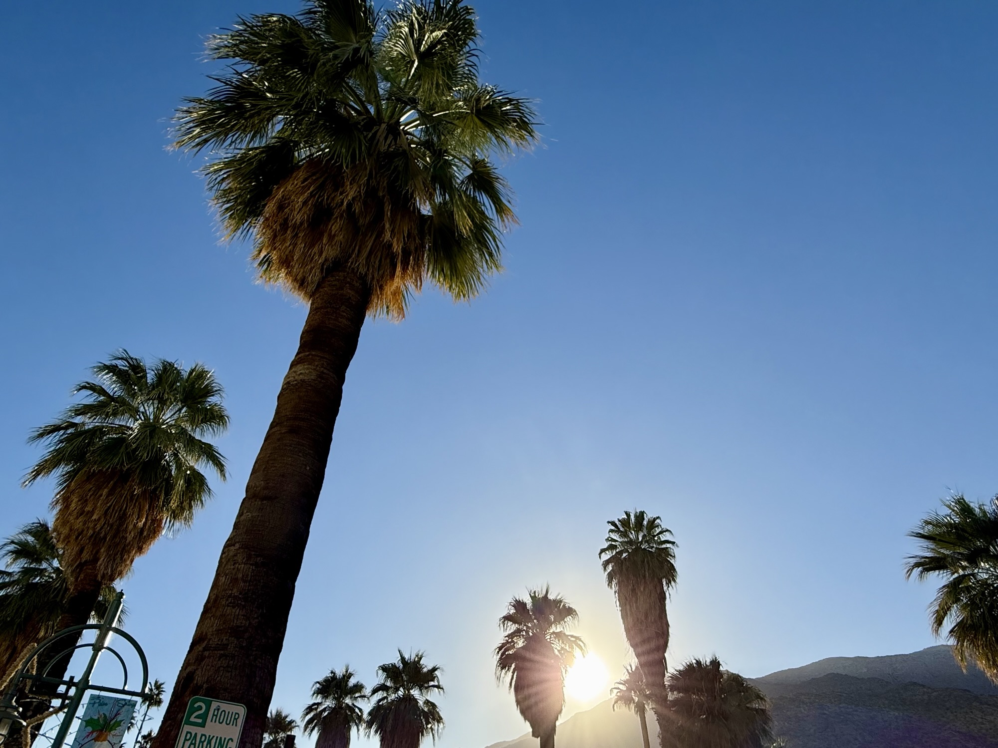 Merry Christmas and Happy 2025